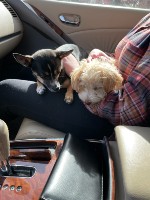 ruby and max sitting together