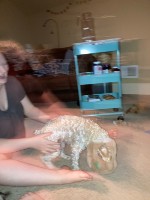 ruby with head in toy tree stump